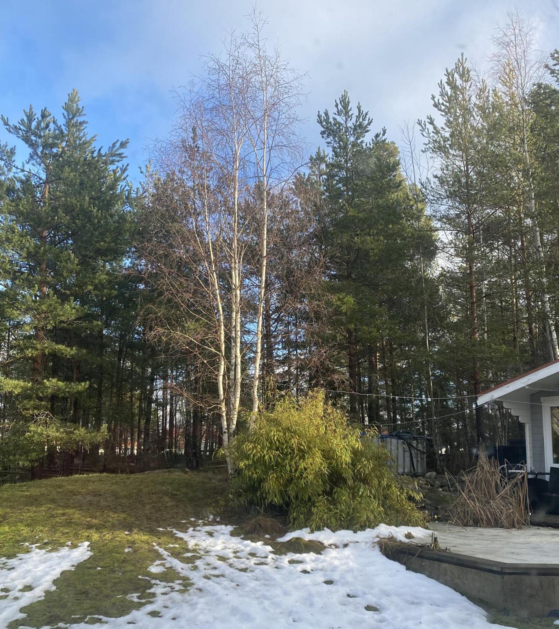 Hotel In Svalsaeter, Kallfors, Jaerna, Stockholm, 5 Min To Golf & 15 Min To Ytterjaerna Concerts 外观 照片